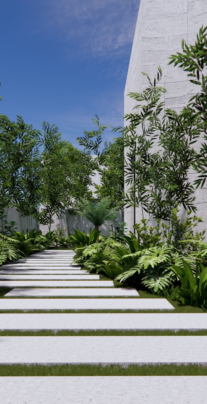 Pale stone stepping stones set into lawn, leading between bamboo, ferns and a board-formed concrete wall